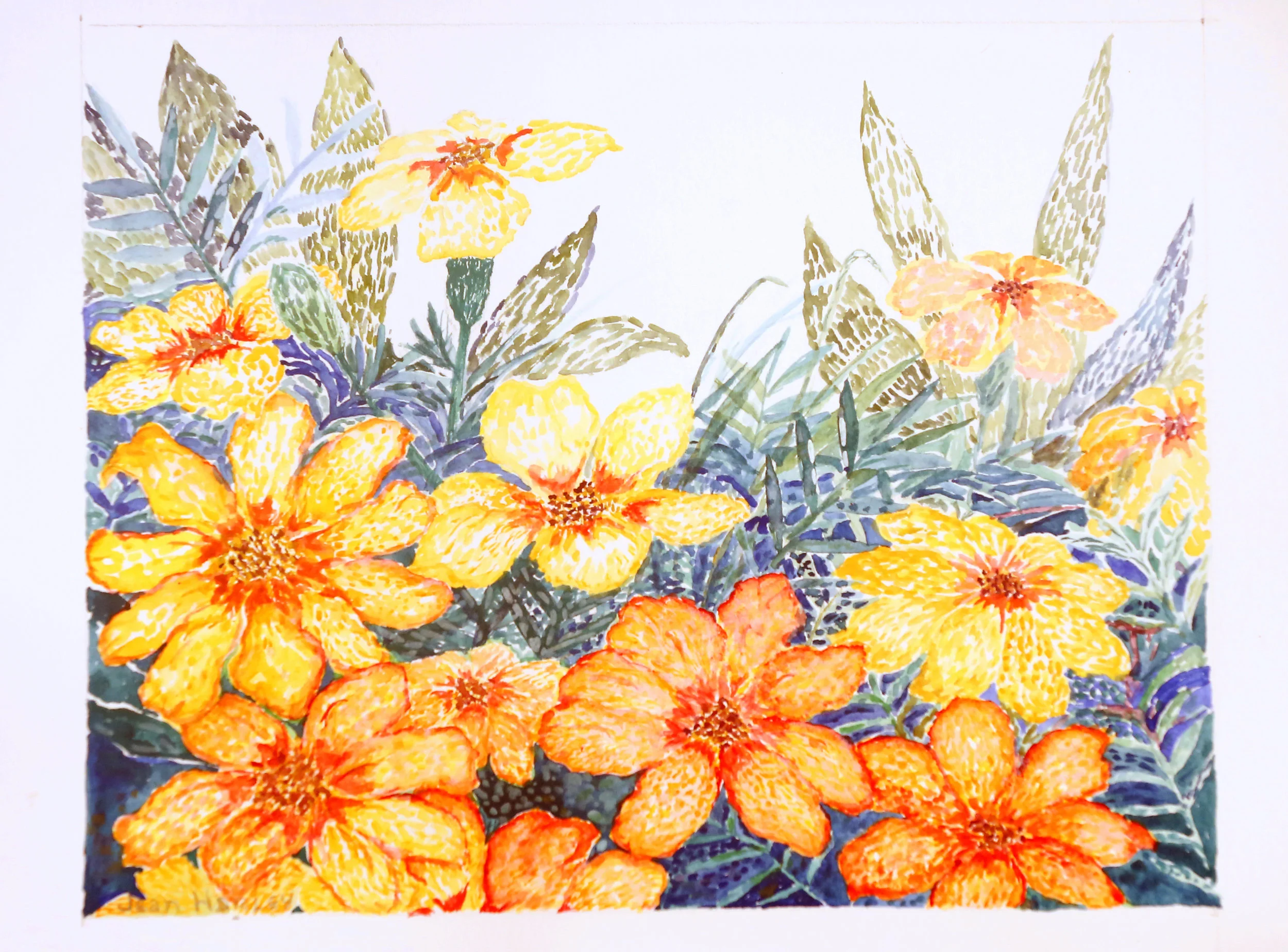 Patch Of Golden Flowers  10 x 8