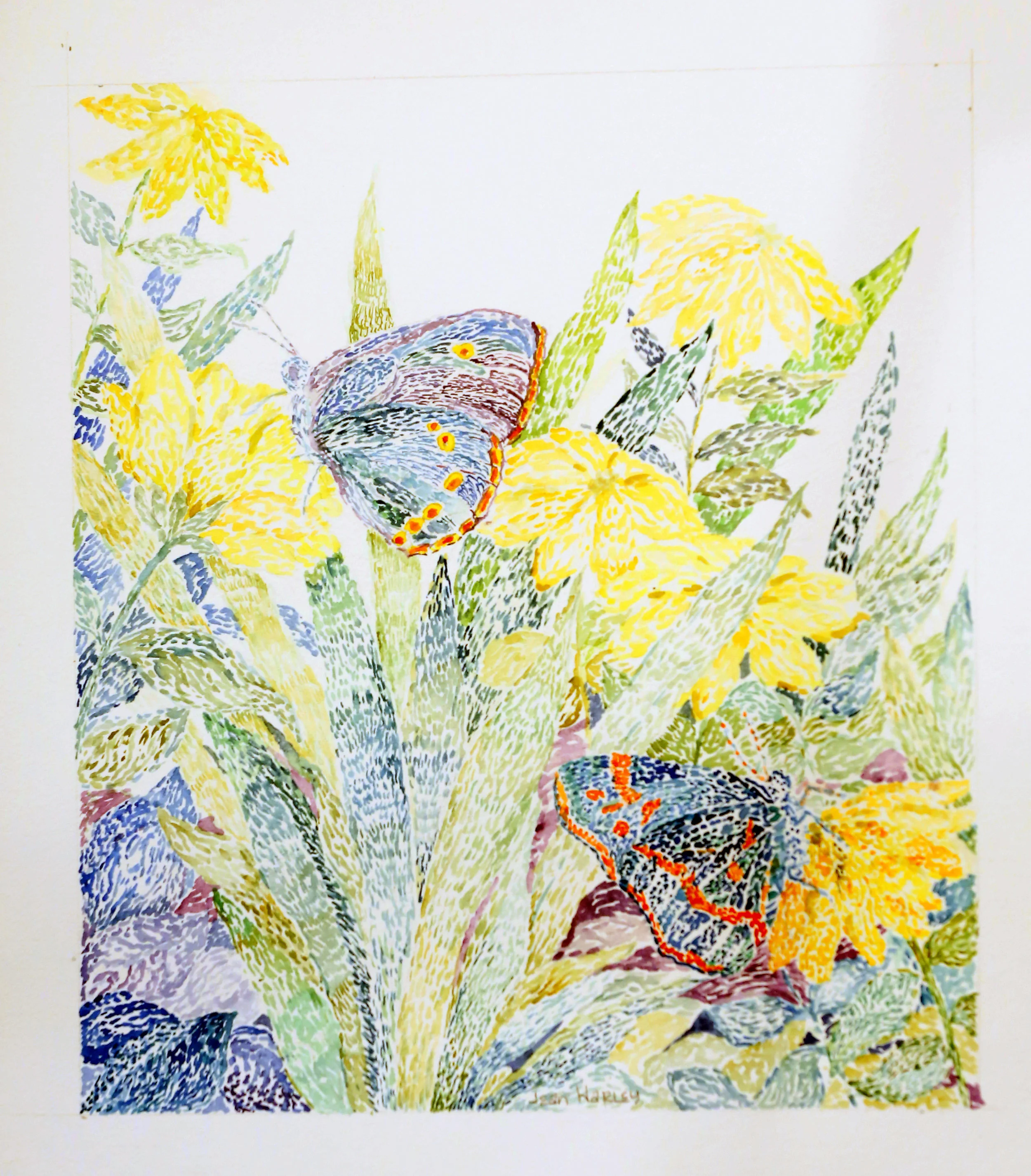 Two Butterflies  10 x 11.5