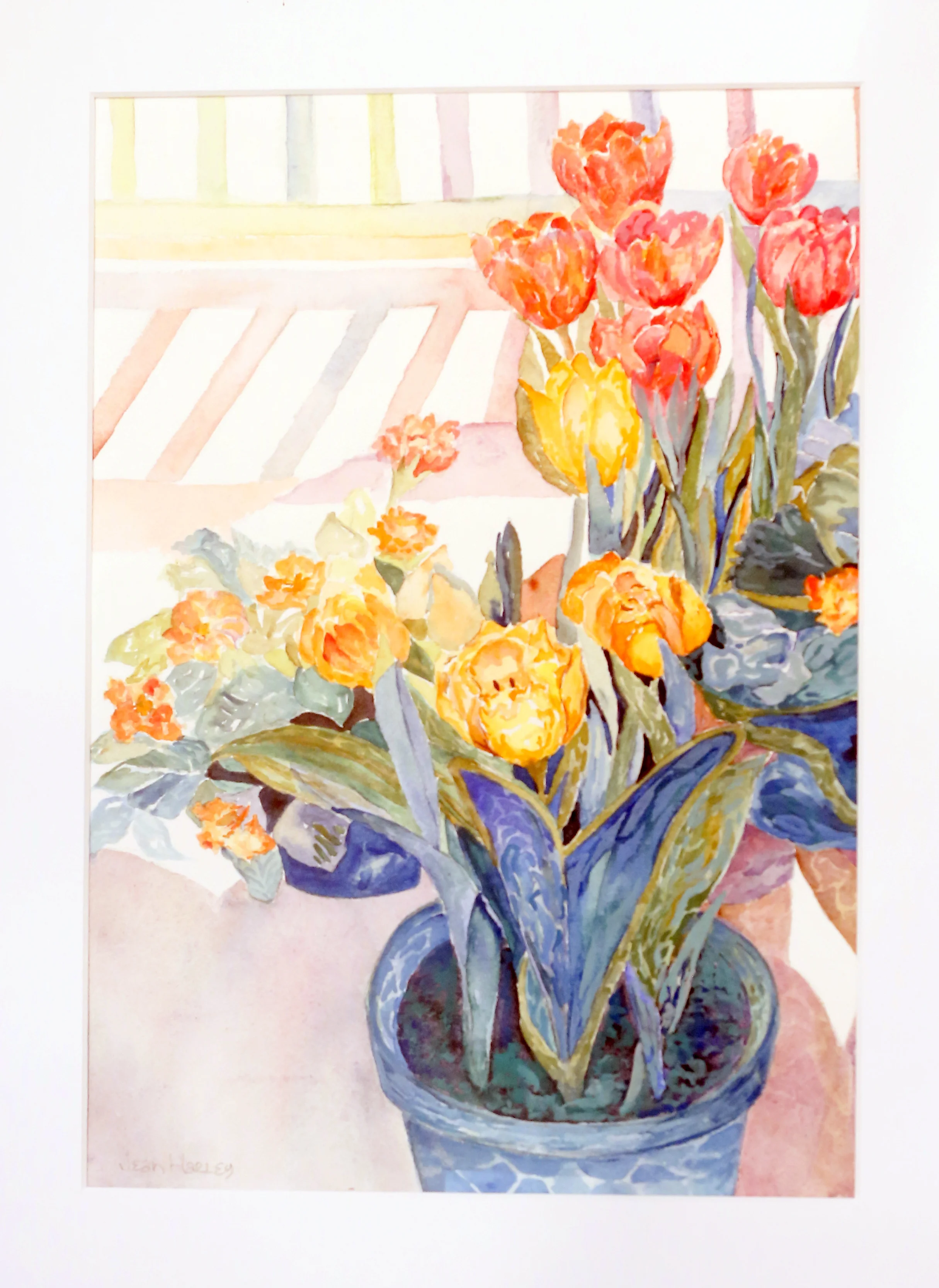 Tulips  9 x 13