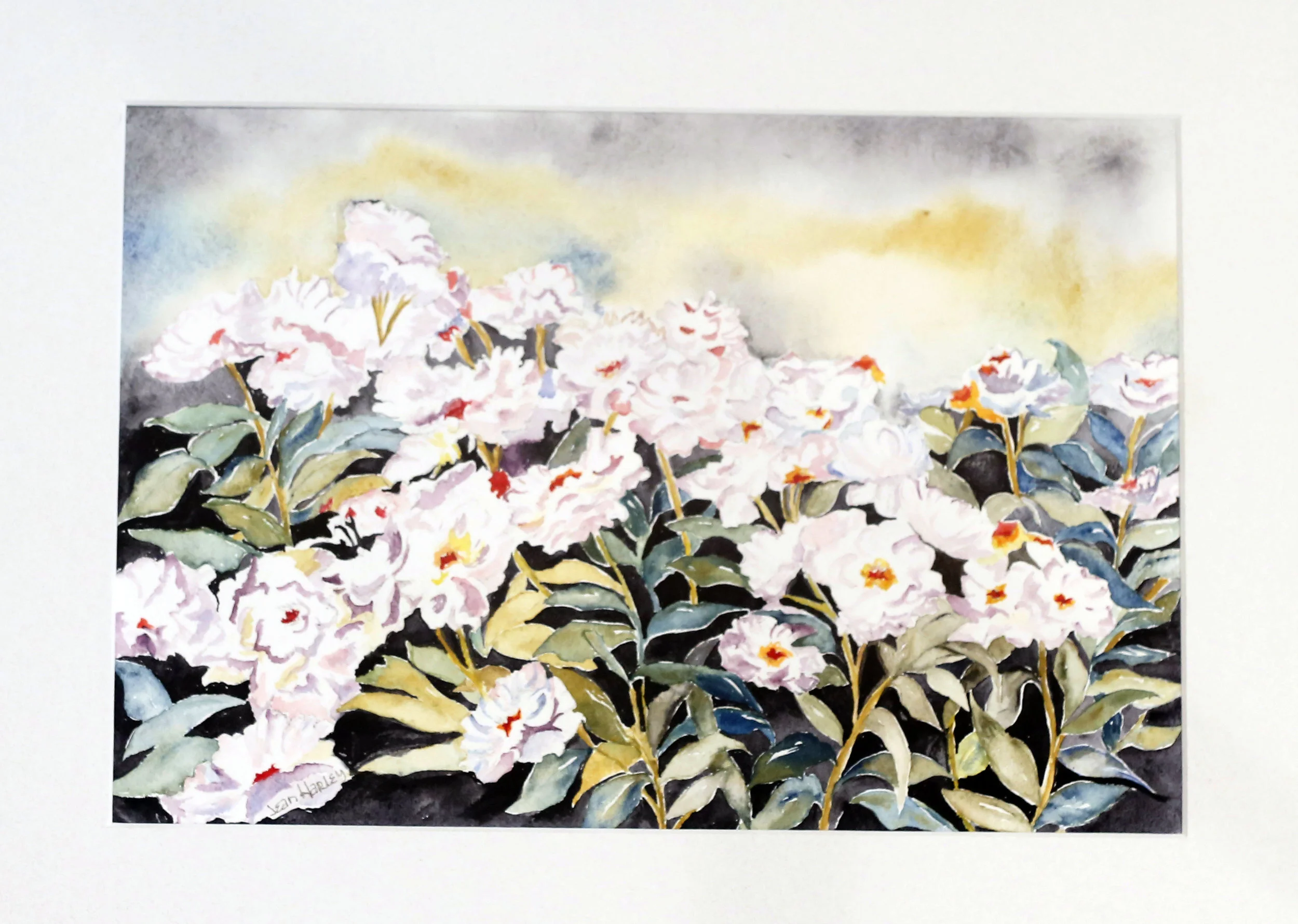 After The Rain  13 x 9