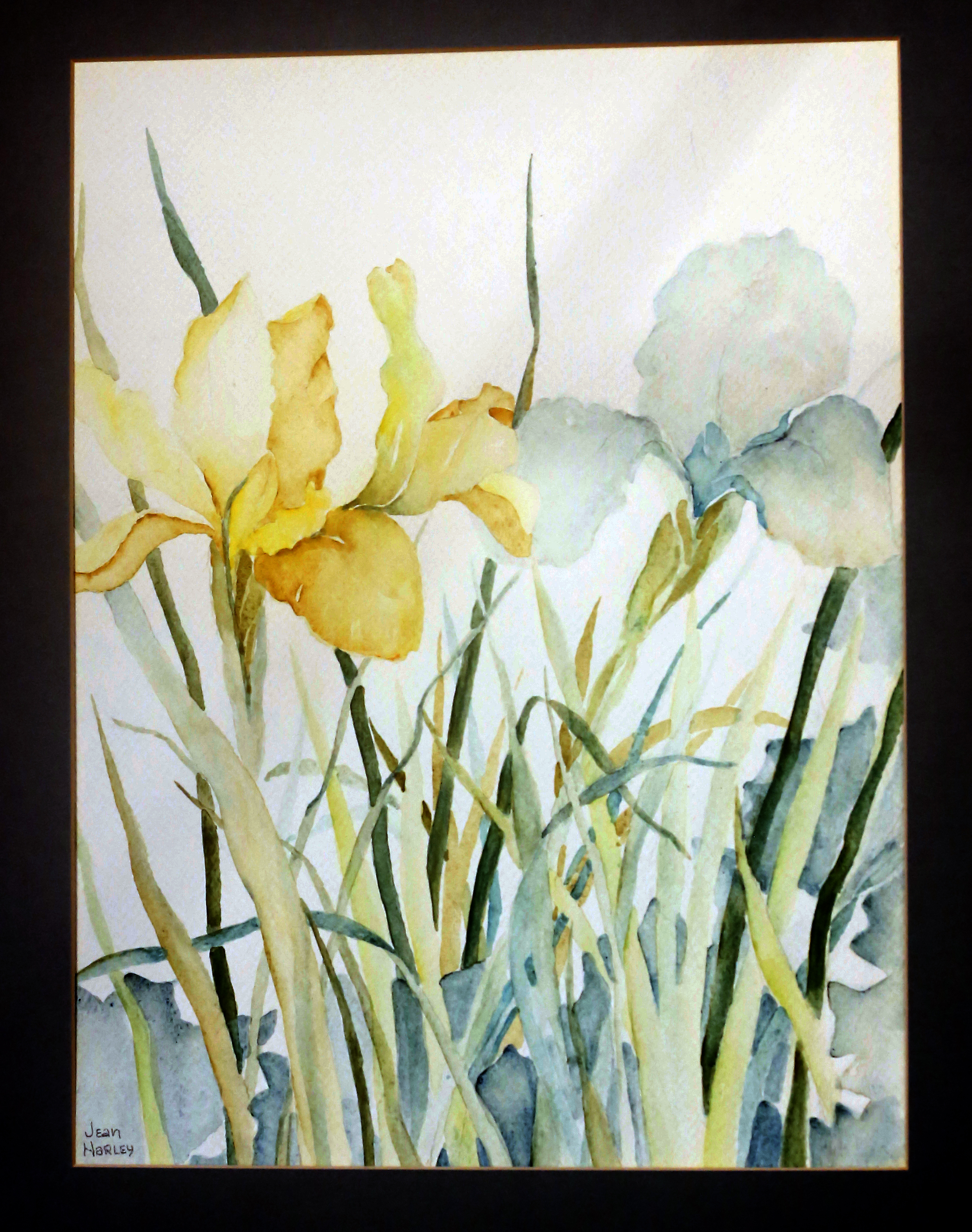 Two Irises  12 x 16