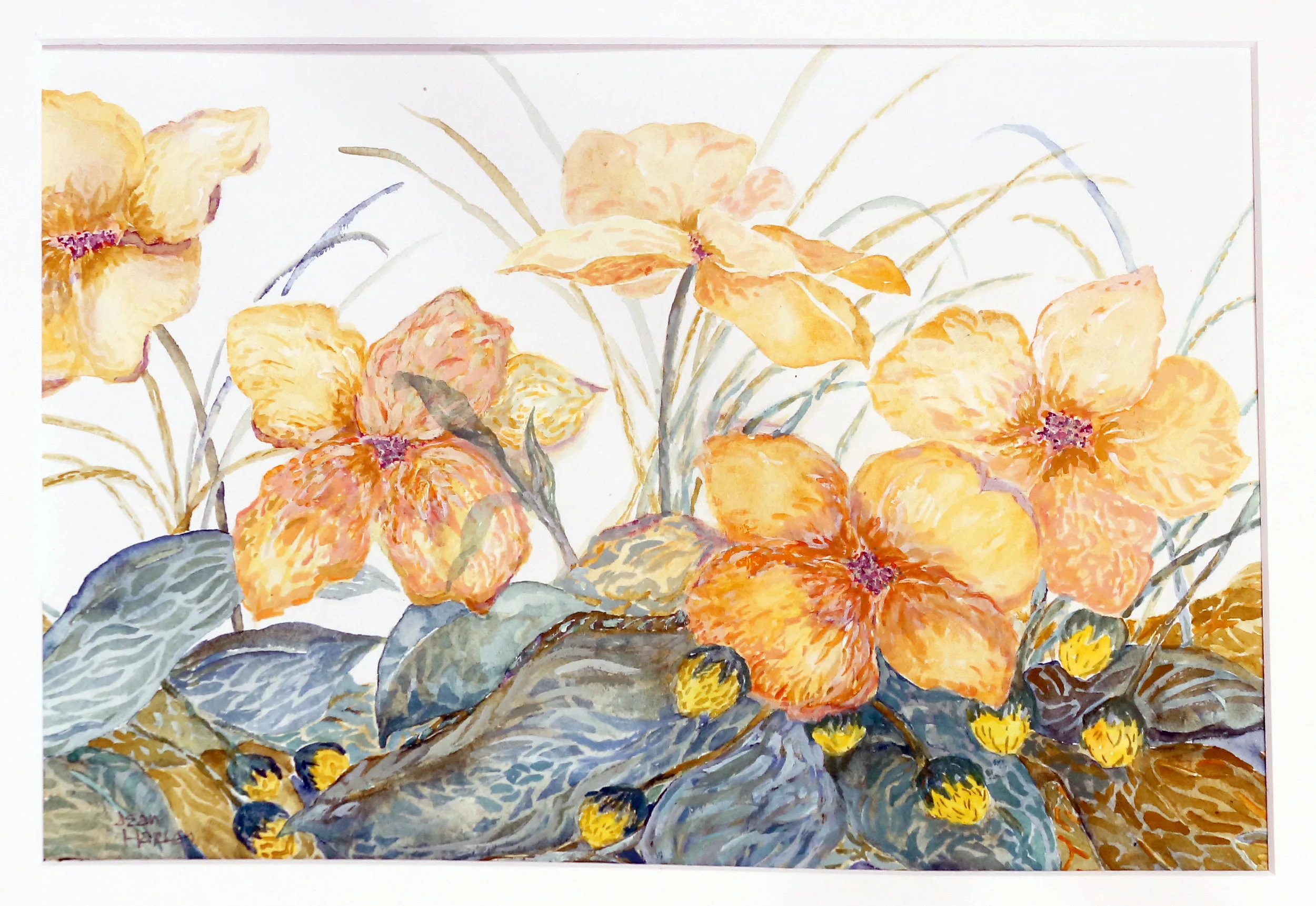 Nature's Energy  13 x 9