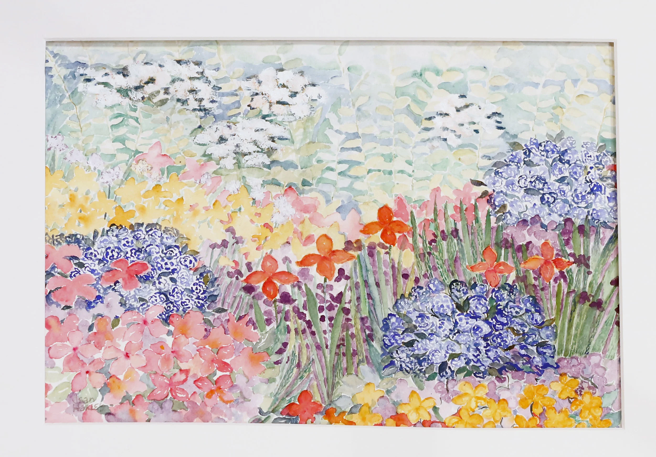 Garden With White Flowers  13 x 8.5