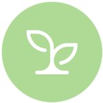 482044-200-(circle-lt).png