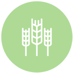 266654-200-(circle-lt).png