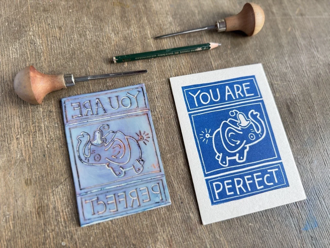 IMAGE 2026-02-15 19:59:48.jpg