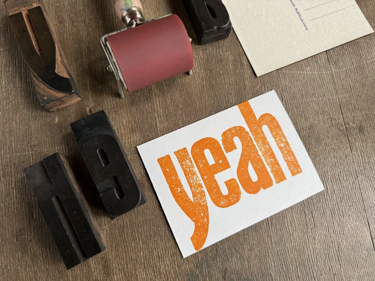 IMAGE 2026-02-15 09:31:13.jpg