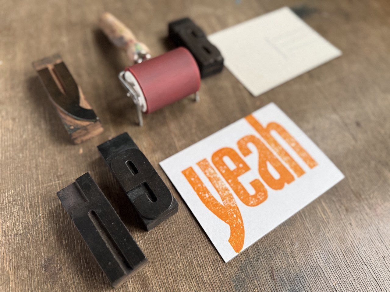 IMAGE 2026-02-15 09:31:31.jpg