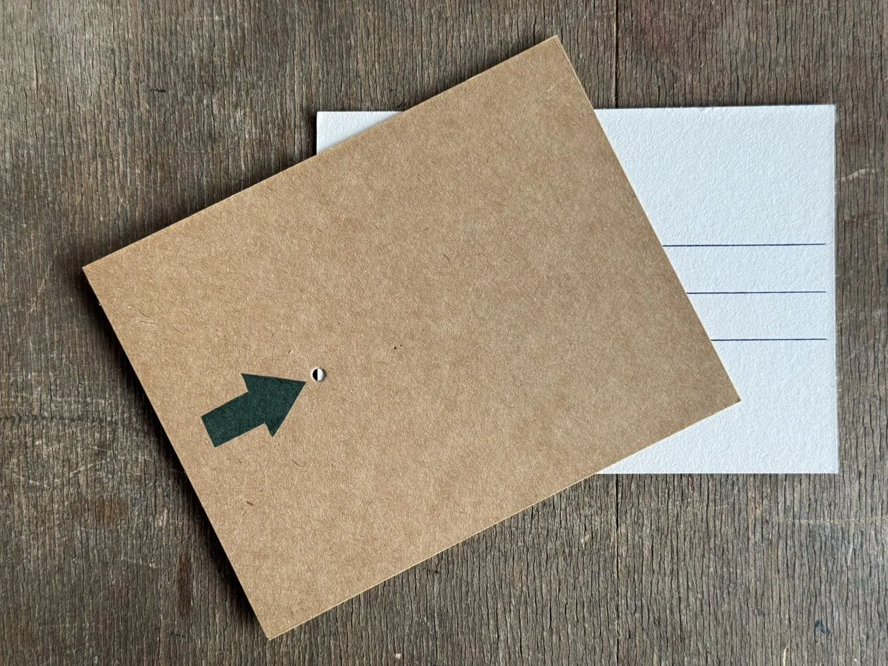 IMAGE 2026-02-15 20:01:32.jpg