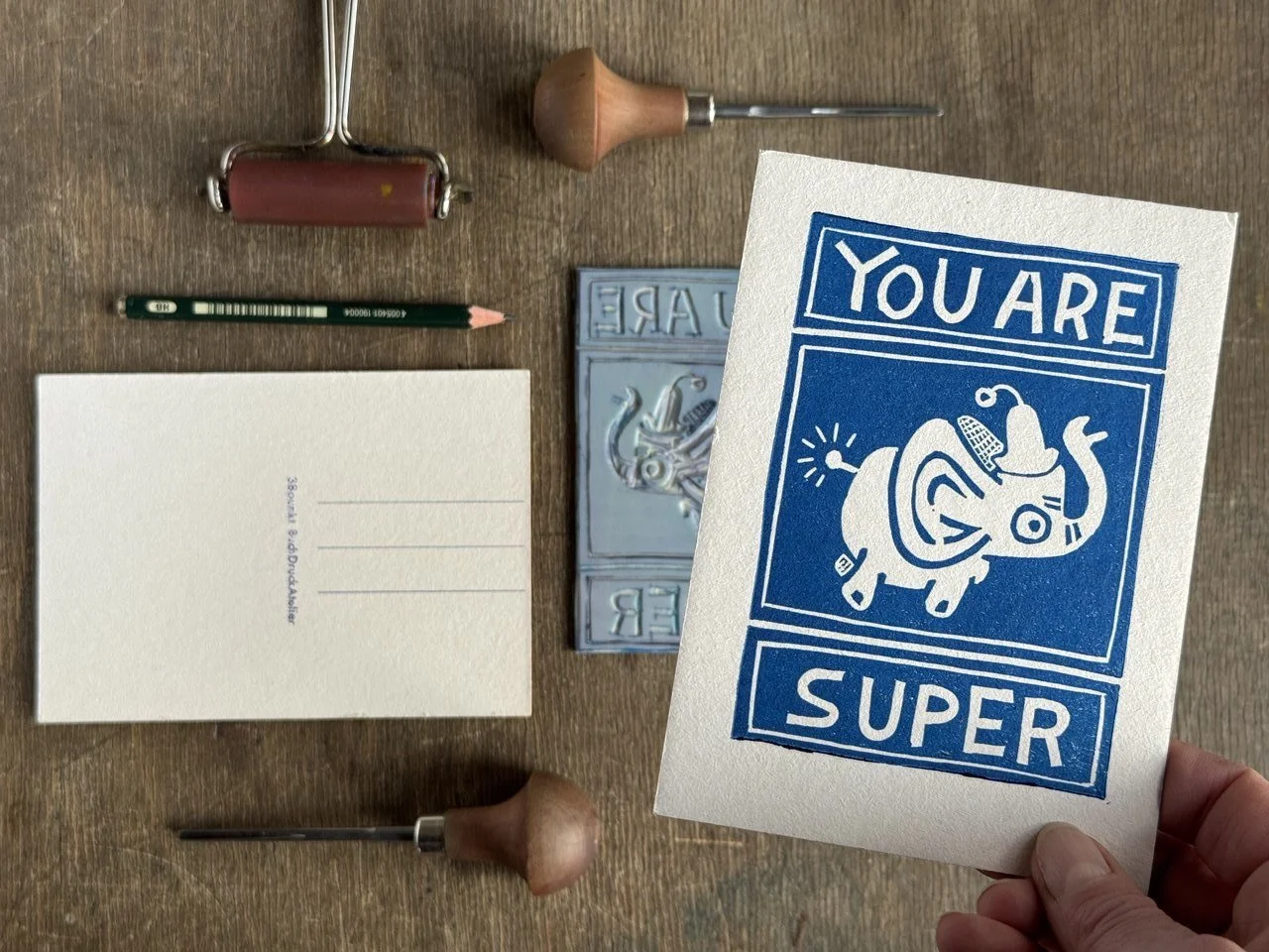 IMAGE 2026-02-15 20:00:47.jpg