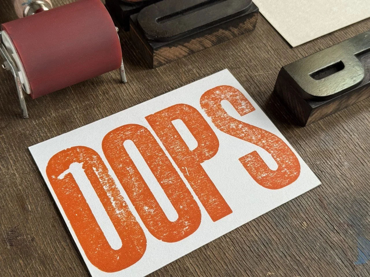 IMAGE 2026-02-15 09:30:07.jpg