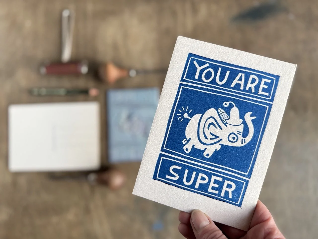 IMAGE 2026-02-15 20:00:44.jpg