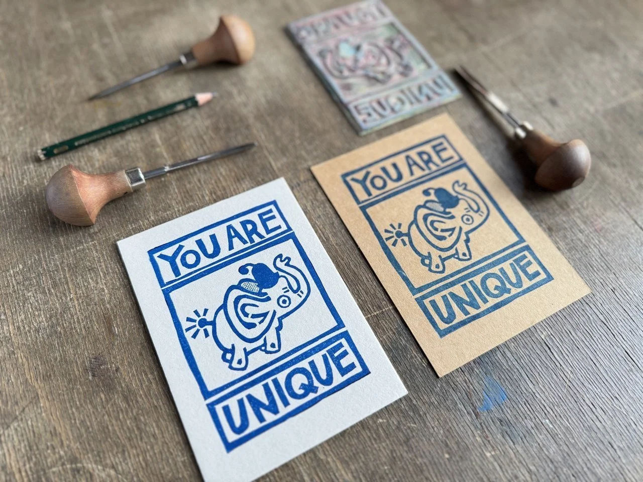 IMAGE 2026-02-15 20:00:00.jpg