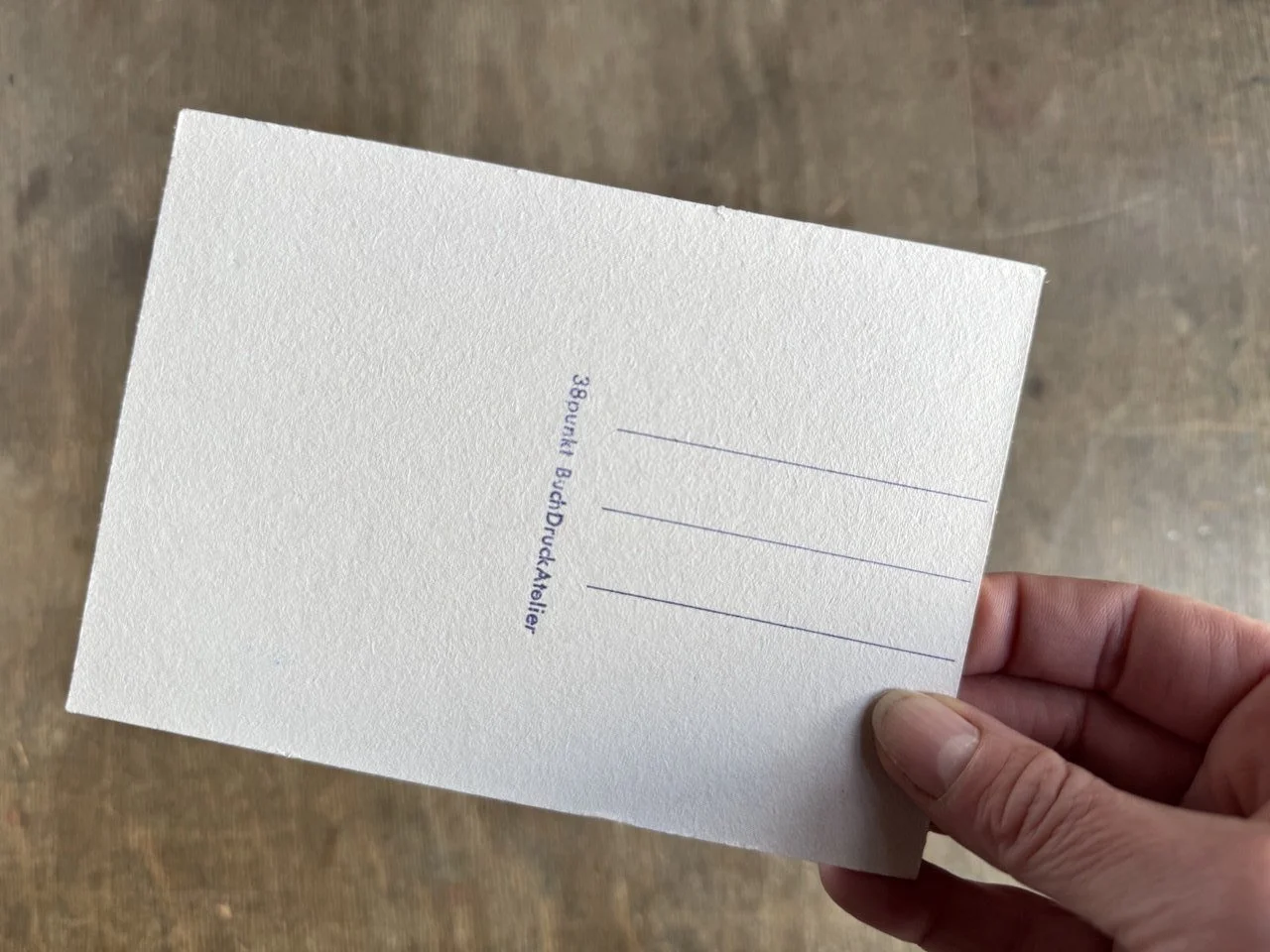 IMAGE 2026-02-15 19:59:46.jpg (Kopie) (Kopie)