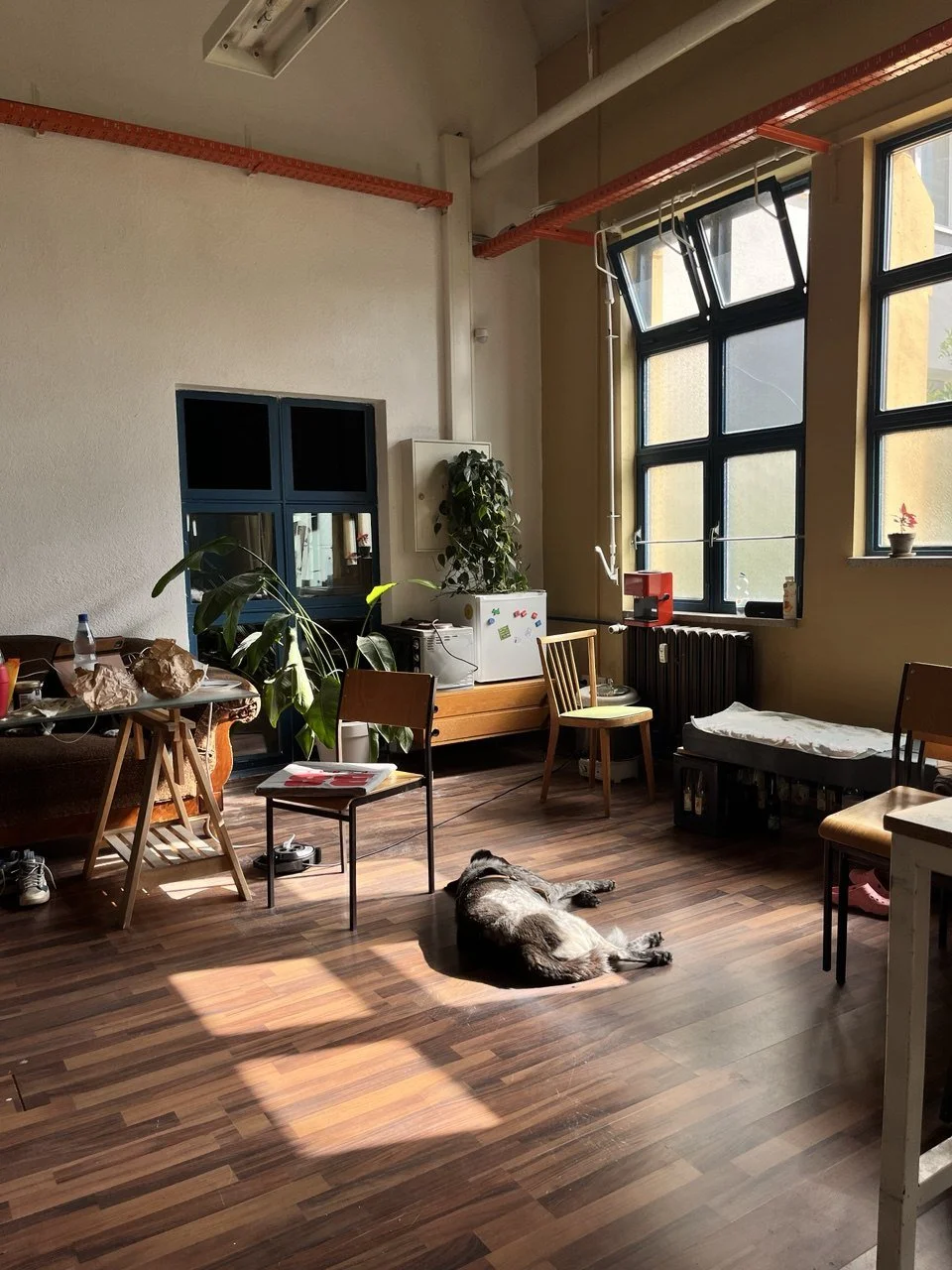 IMAGE 2026-02-04 19:06:07.jpg