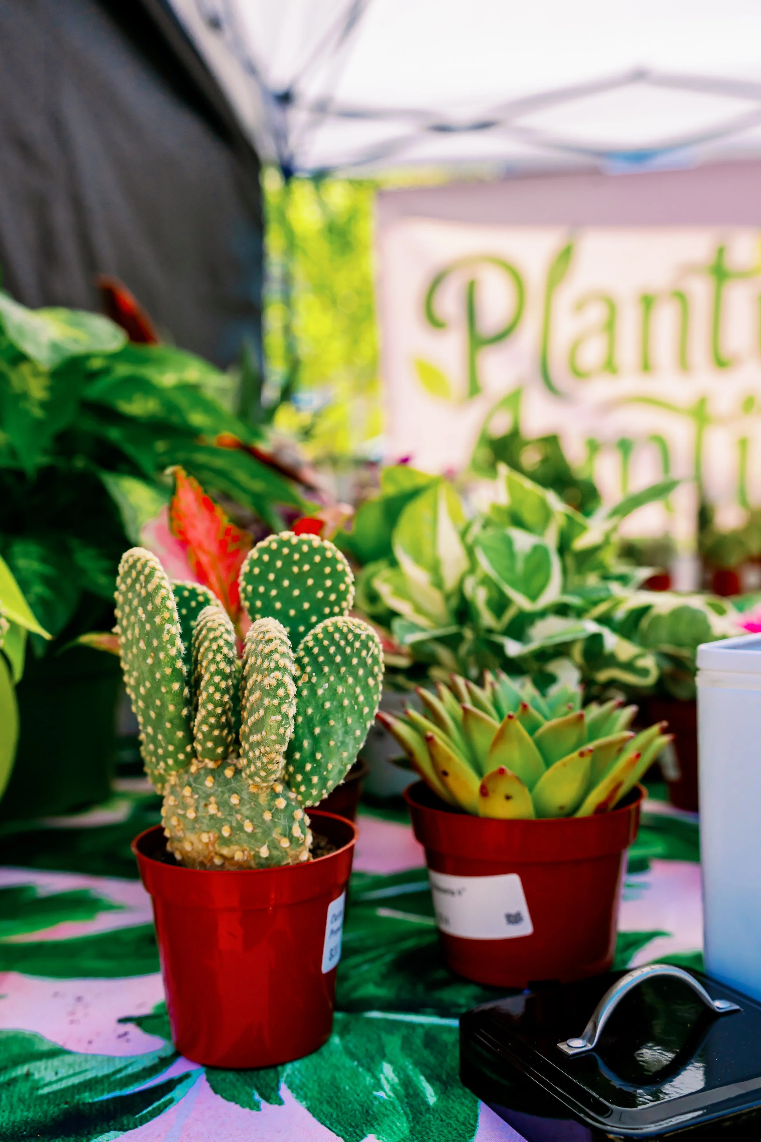 Colorado Fresh Markets