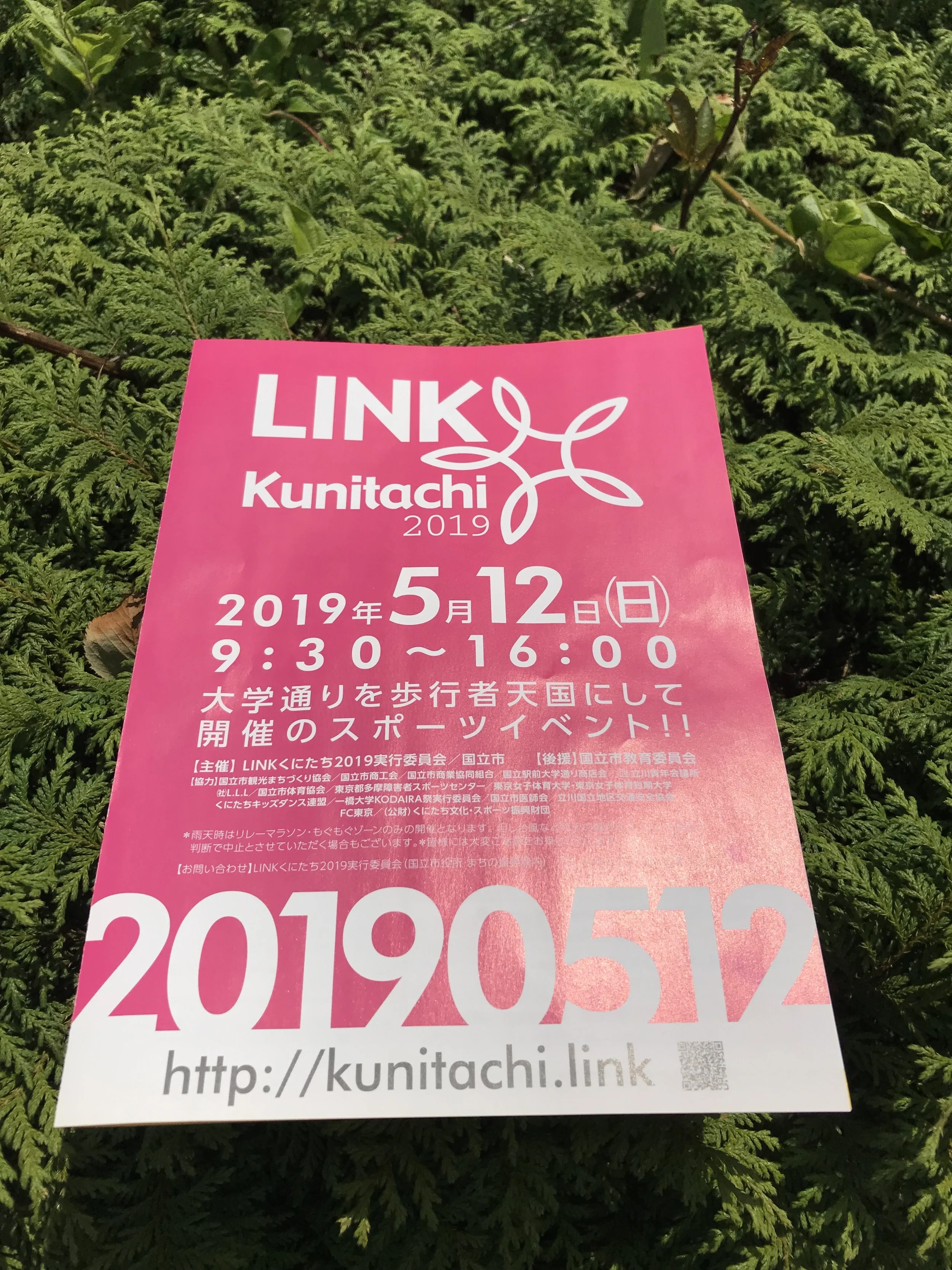 スポーツイベント LINK国立始まってます！