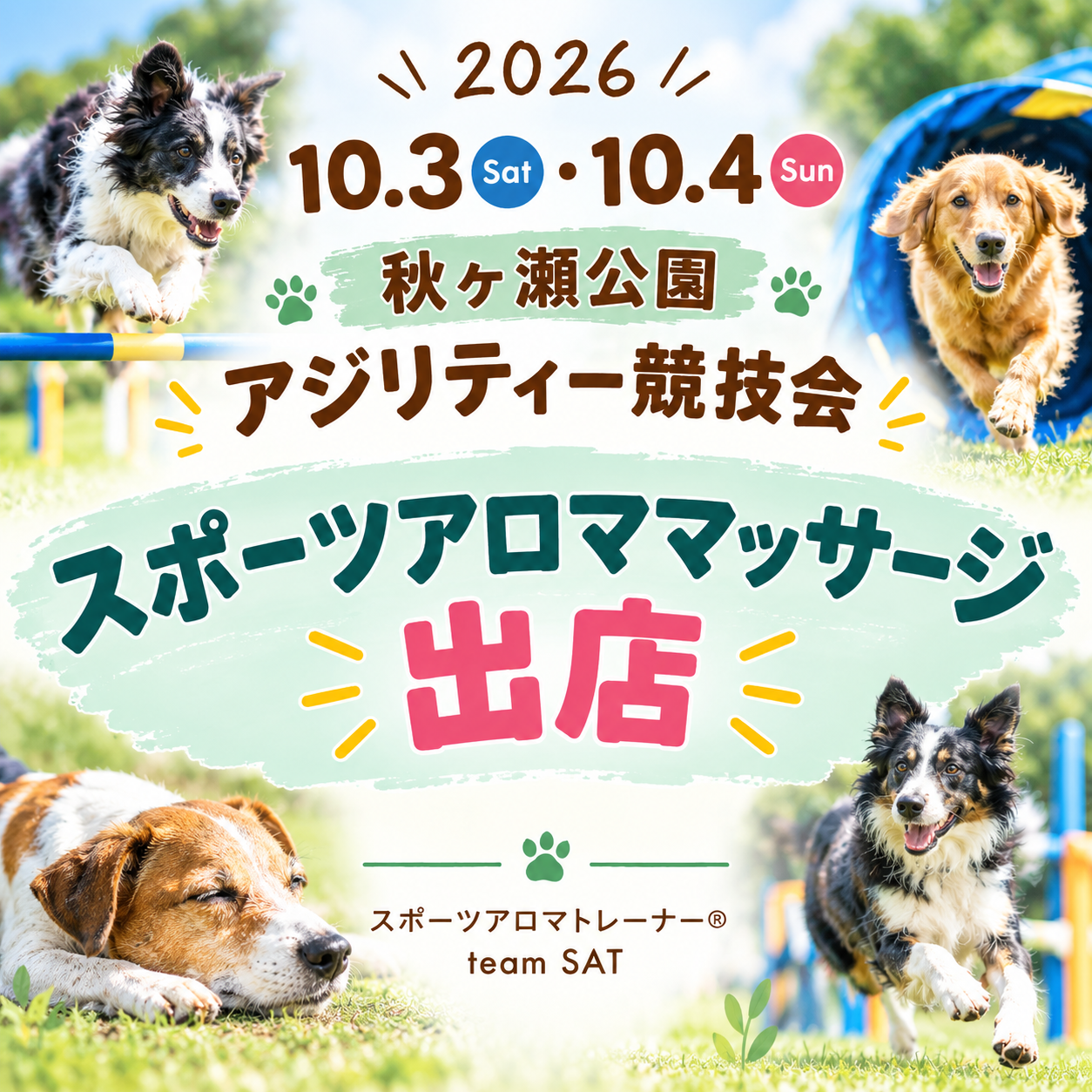 【出店】東京都下アジリティークラブ競技会