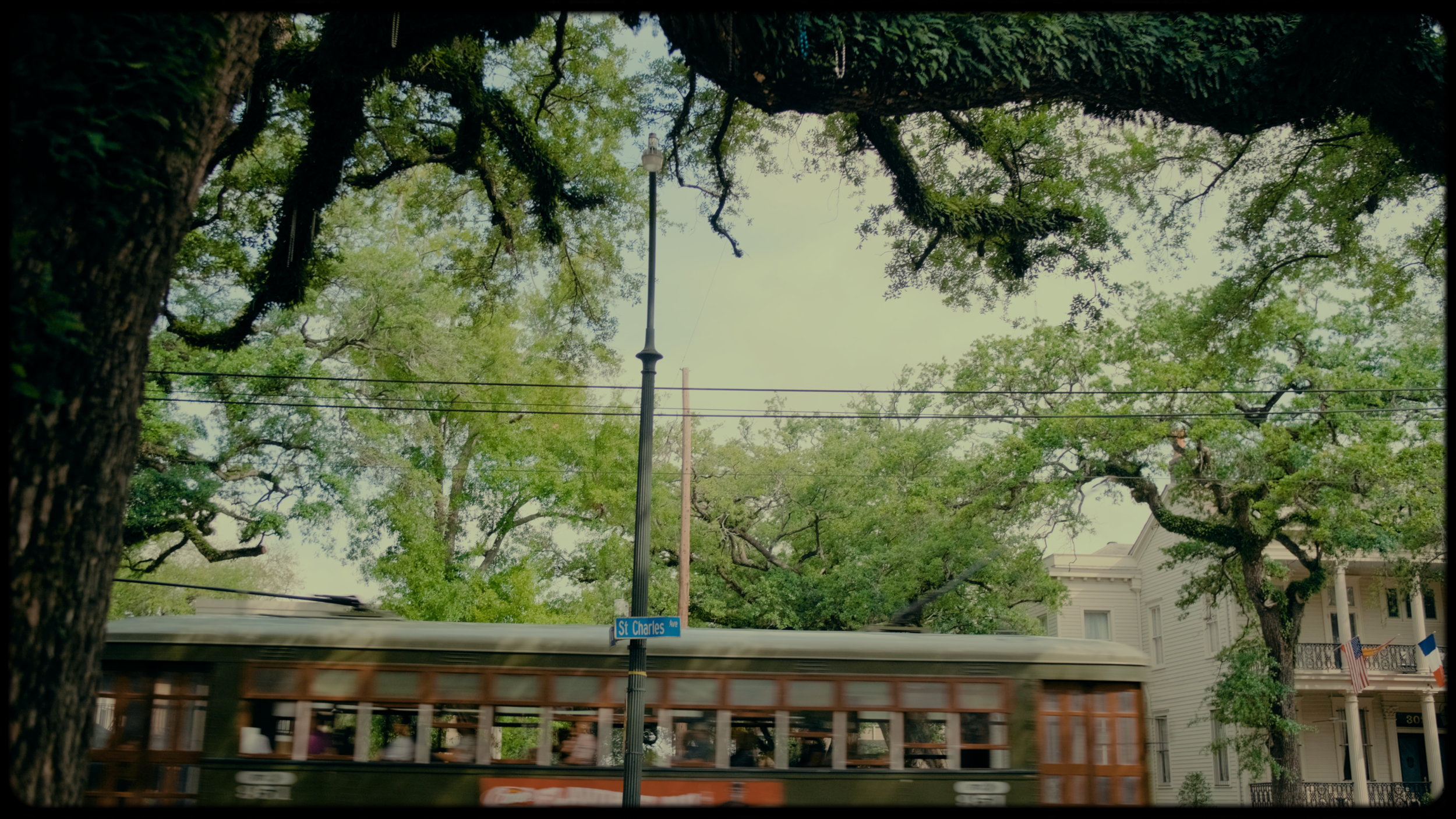 DSCF7738.00_00_30_23.Immagine015.png