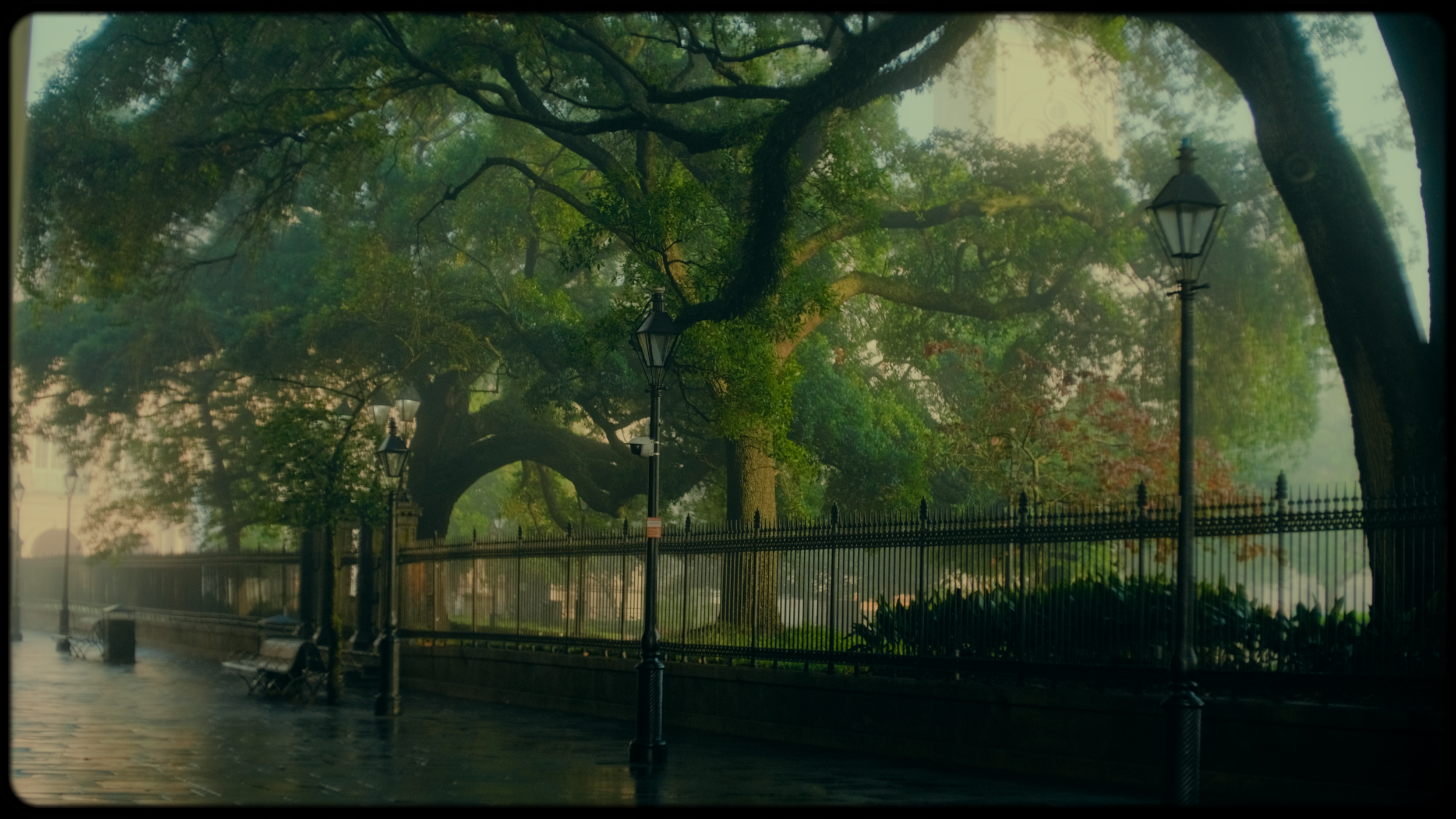DSCF7738.00_00_01_06.Immagine003.png