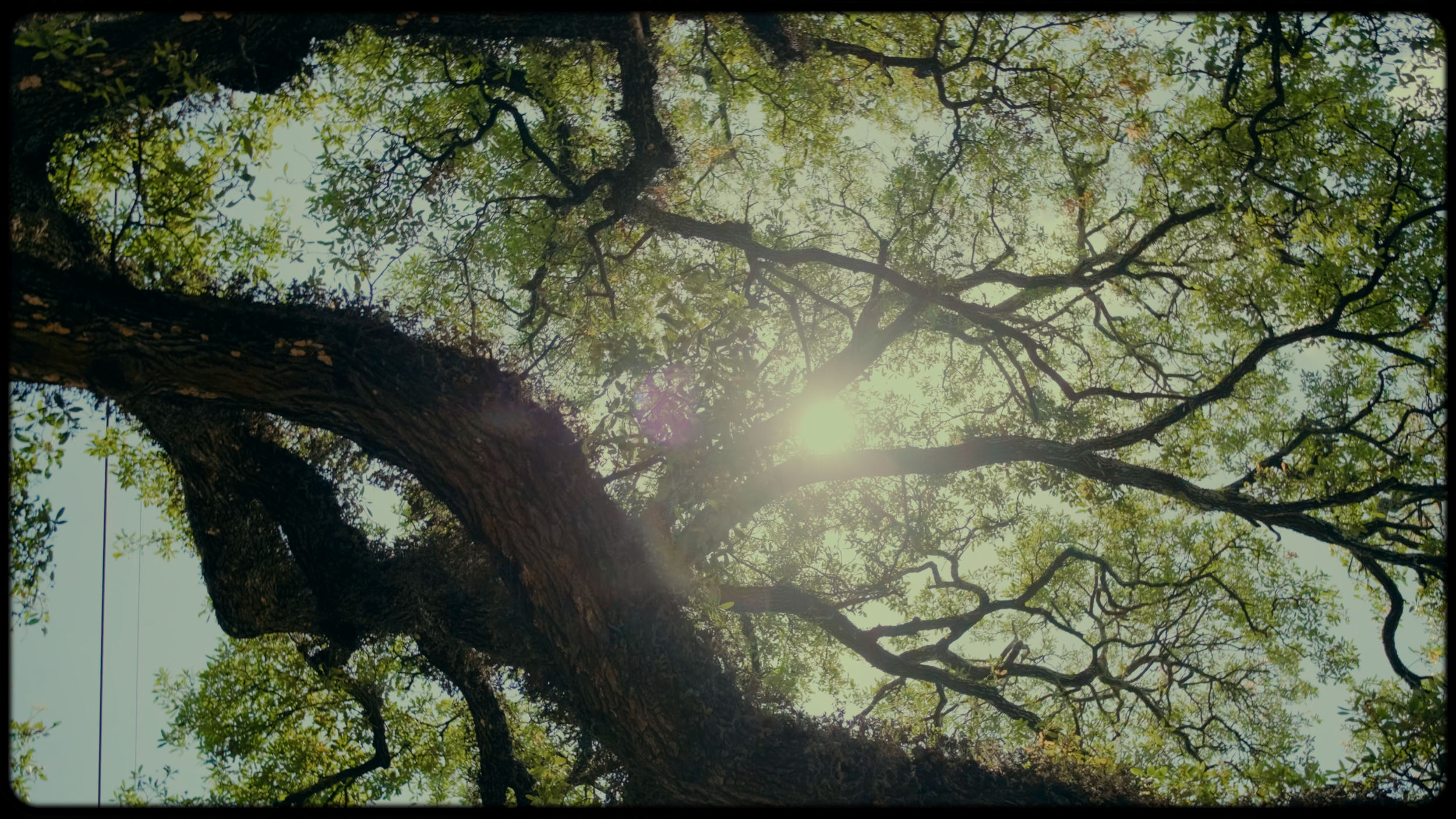 DSCF7738.00_00_10_19.Immagine008.png