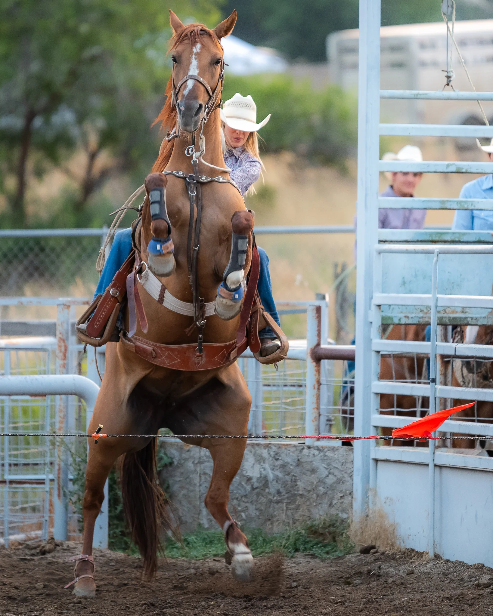 Rodeo 2018_August 02, 2018_0012.jpg