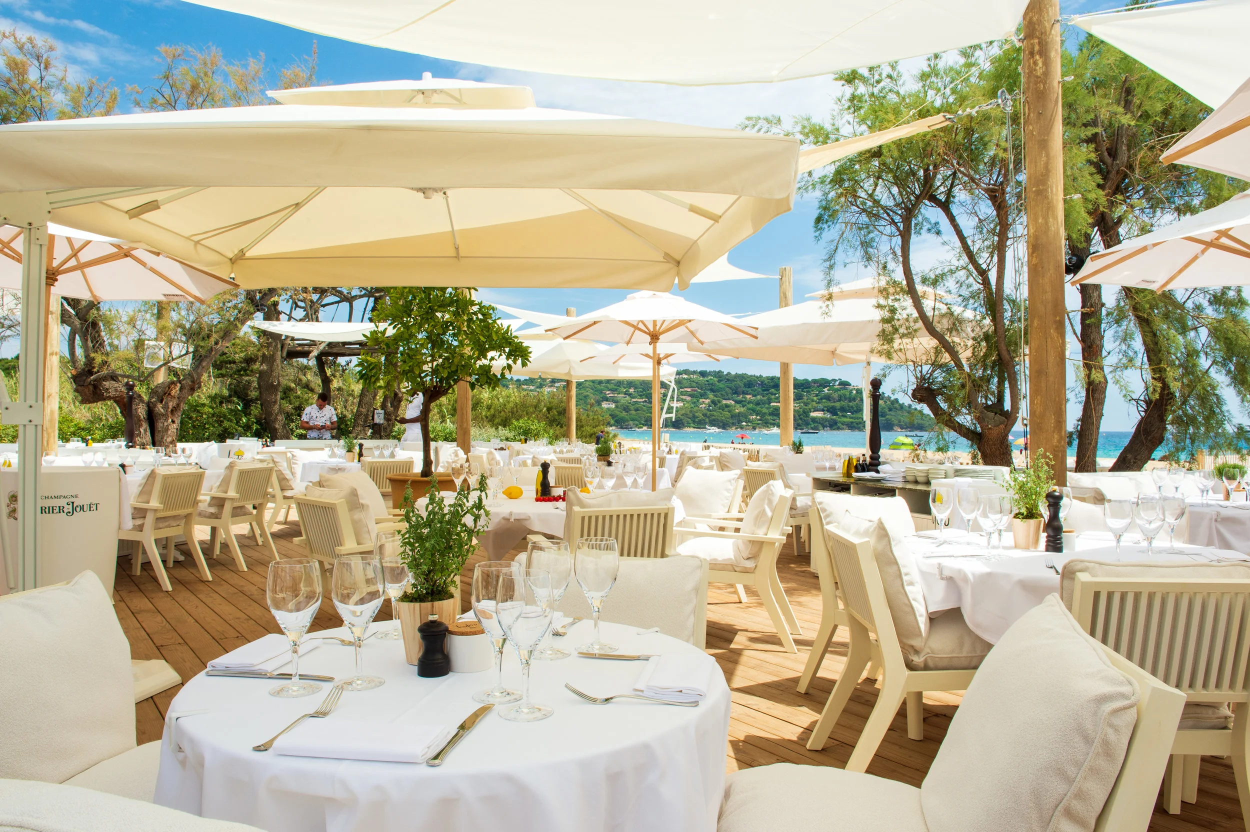 Loulou's coming to the South of France