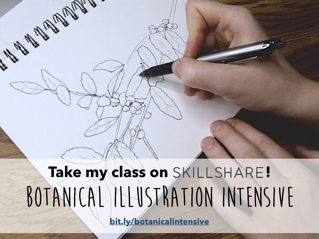skillshare instagram ad.001.jpeg
