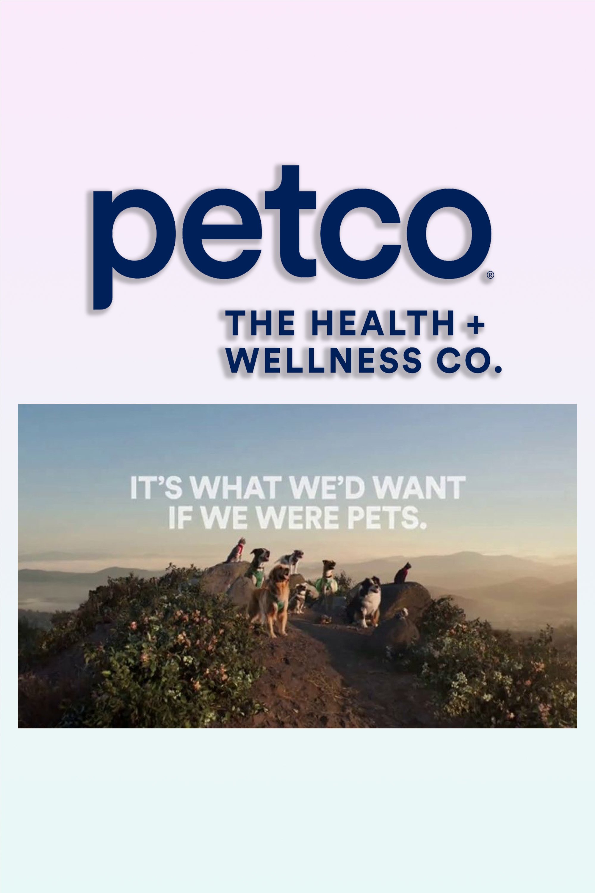 Petco poster.jpg