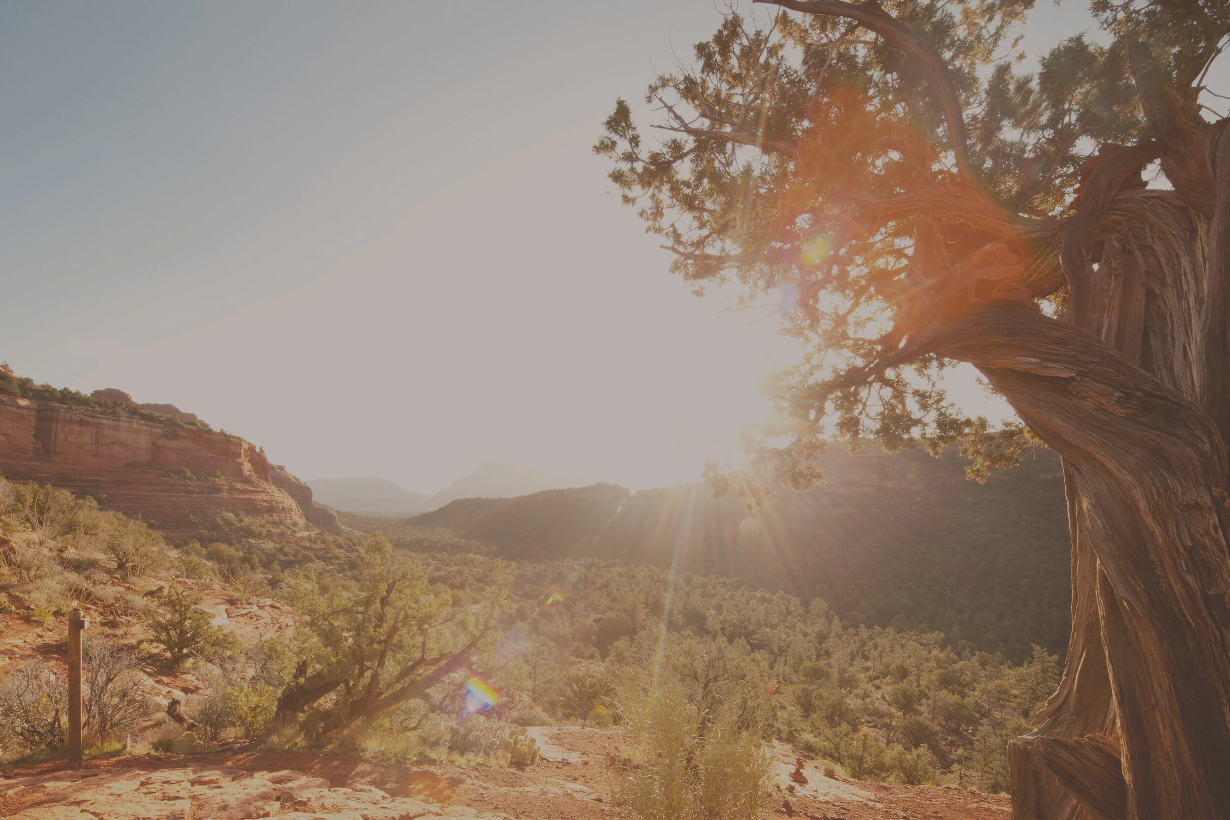 VIBRATIONAL_HEALING_sales_cover2.jpg