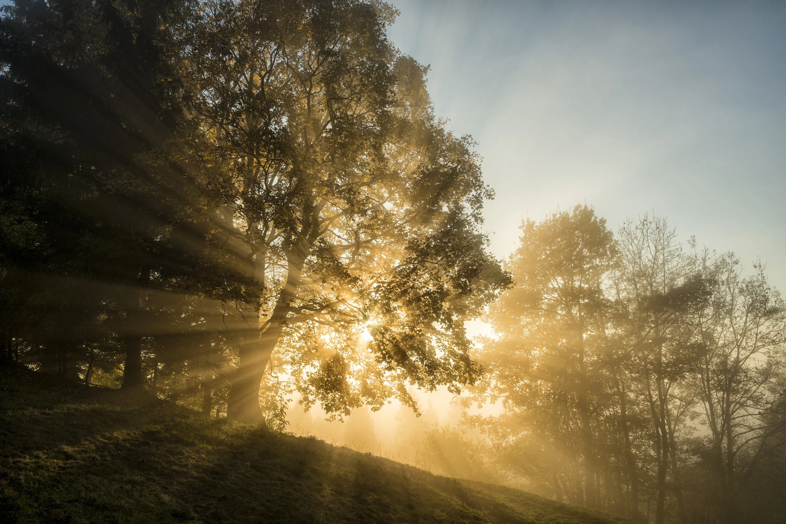 iStock-494994032.jpg
