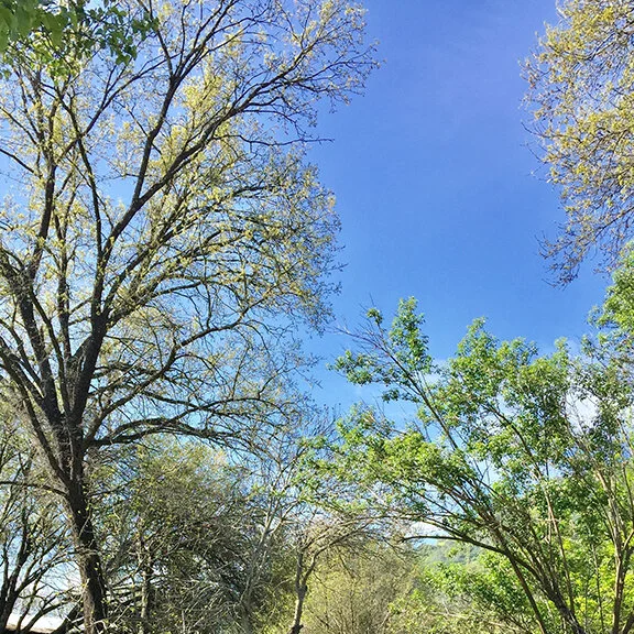 Mother Earth Healing Ceremony