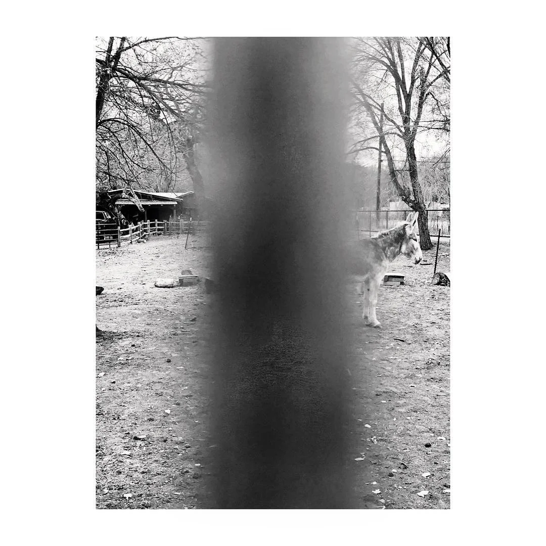 28161676_10100137827284955_8964152739465219816_o.jpg
