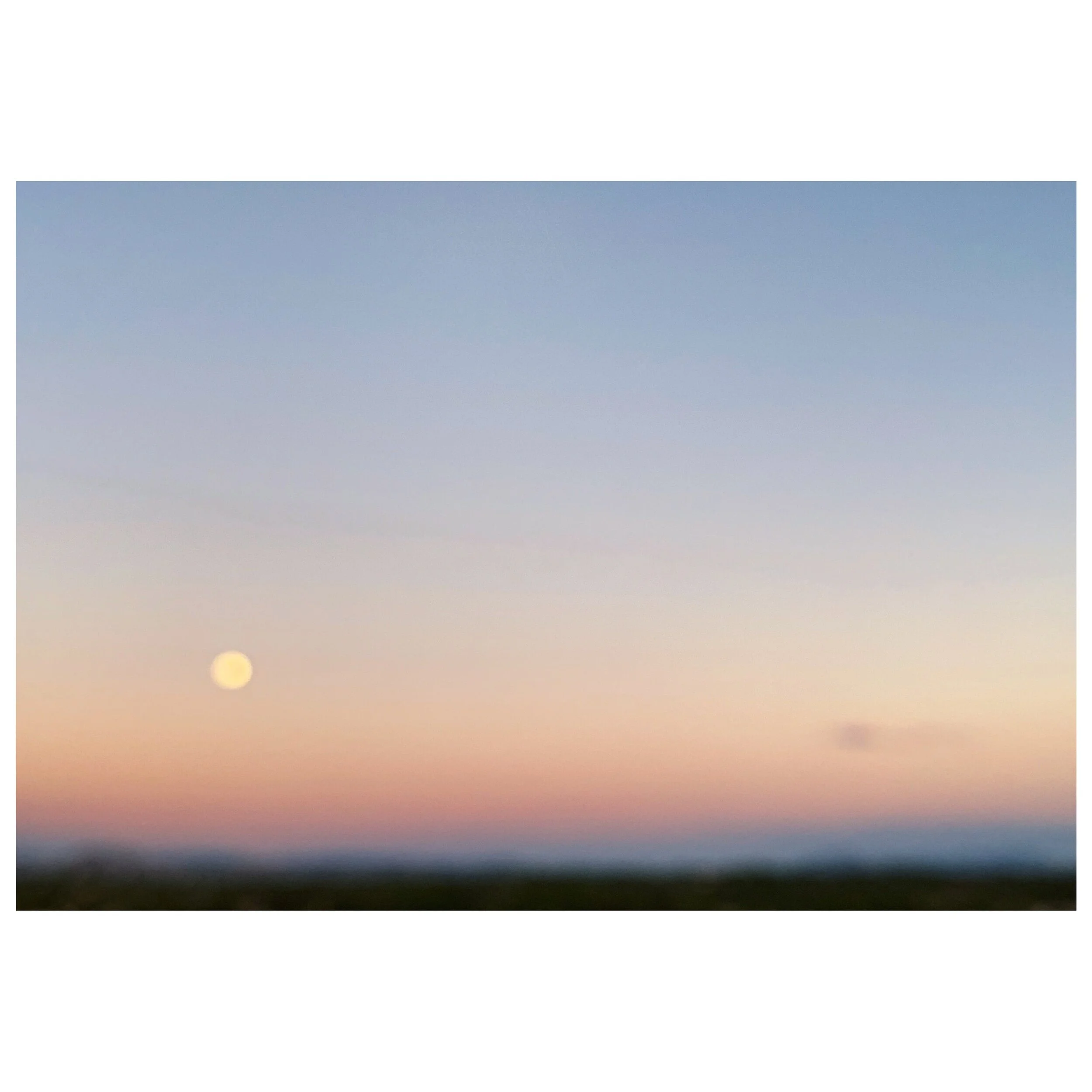  Albuquerque, New Mexico. June 2020.  