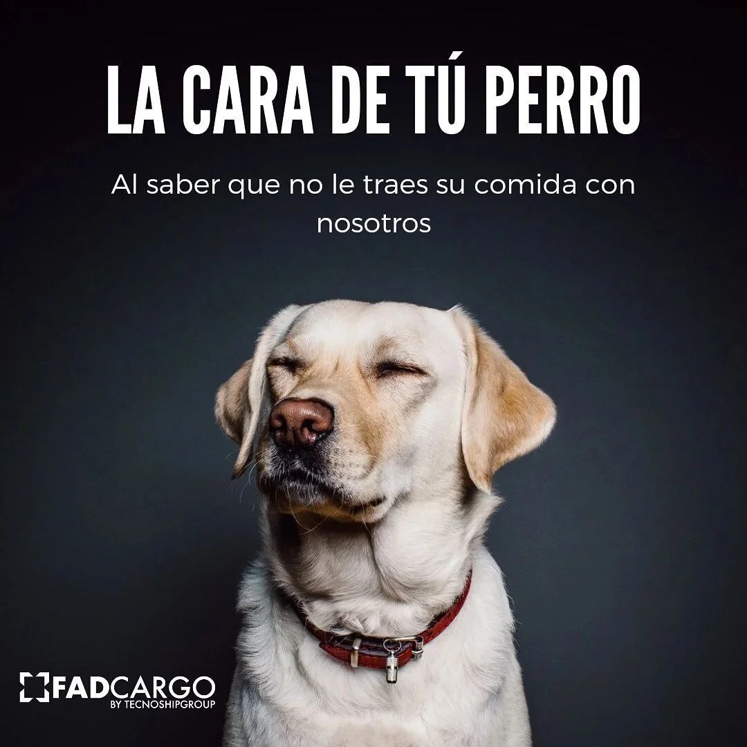 Te ofrecemos la soluci&oacute;n perfecta para todas tus necesidades y todo tipo de productos alimenticios! Nuestro equipo se dedica a proporcionar la mejor asistencia posible en sus compras de alimentos y le garantizamos una mejor cara! 

#fadcargous