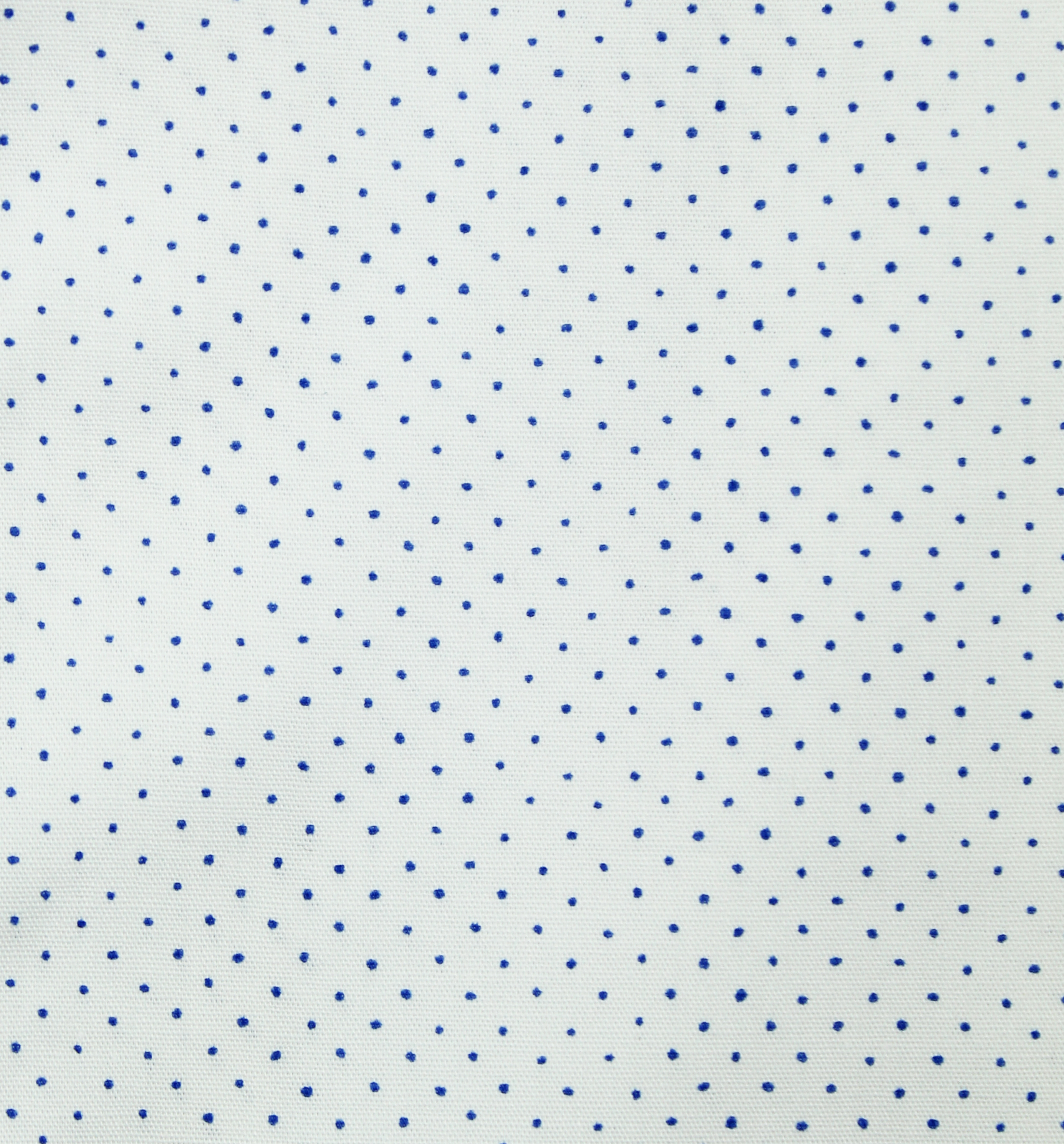image00003.jpeg