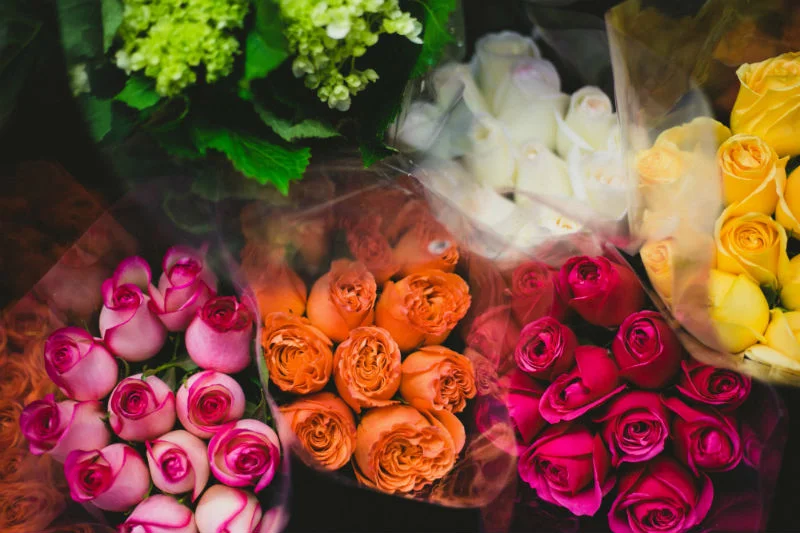 roses.jpg