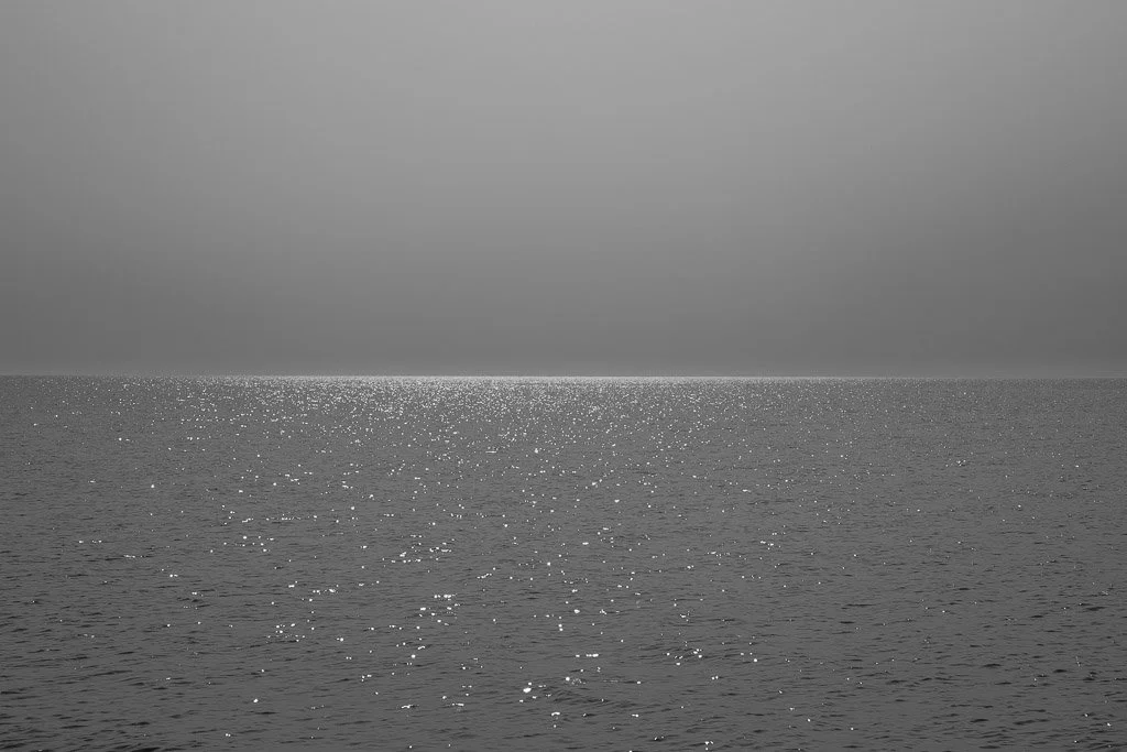 4679.jpg