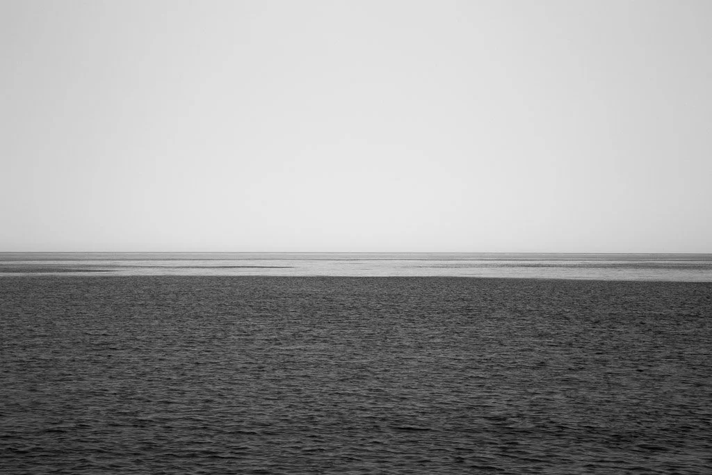 4650.jpg