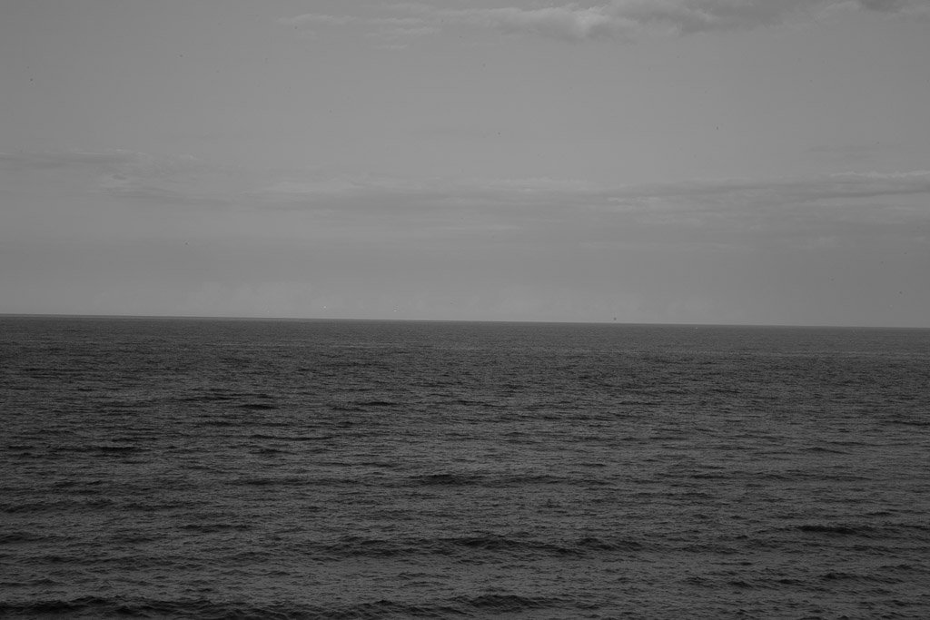 4595.jpg