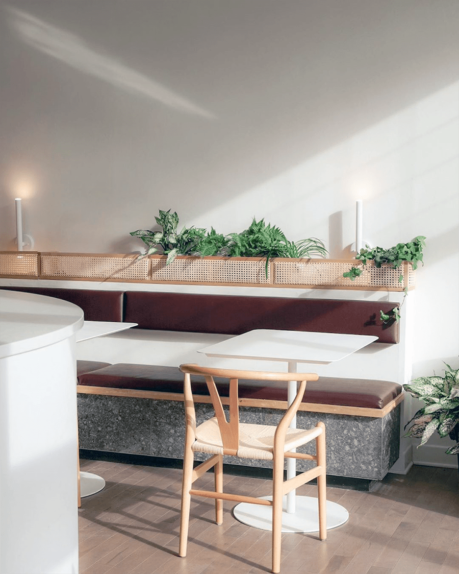 Intérieur d'un café ou restaurant moderne avec une banquette en cuir bordeaux, une table blanche, une chaise en bois clair et plusieurs plantes vertes.