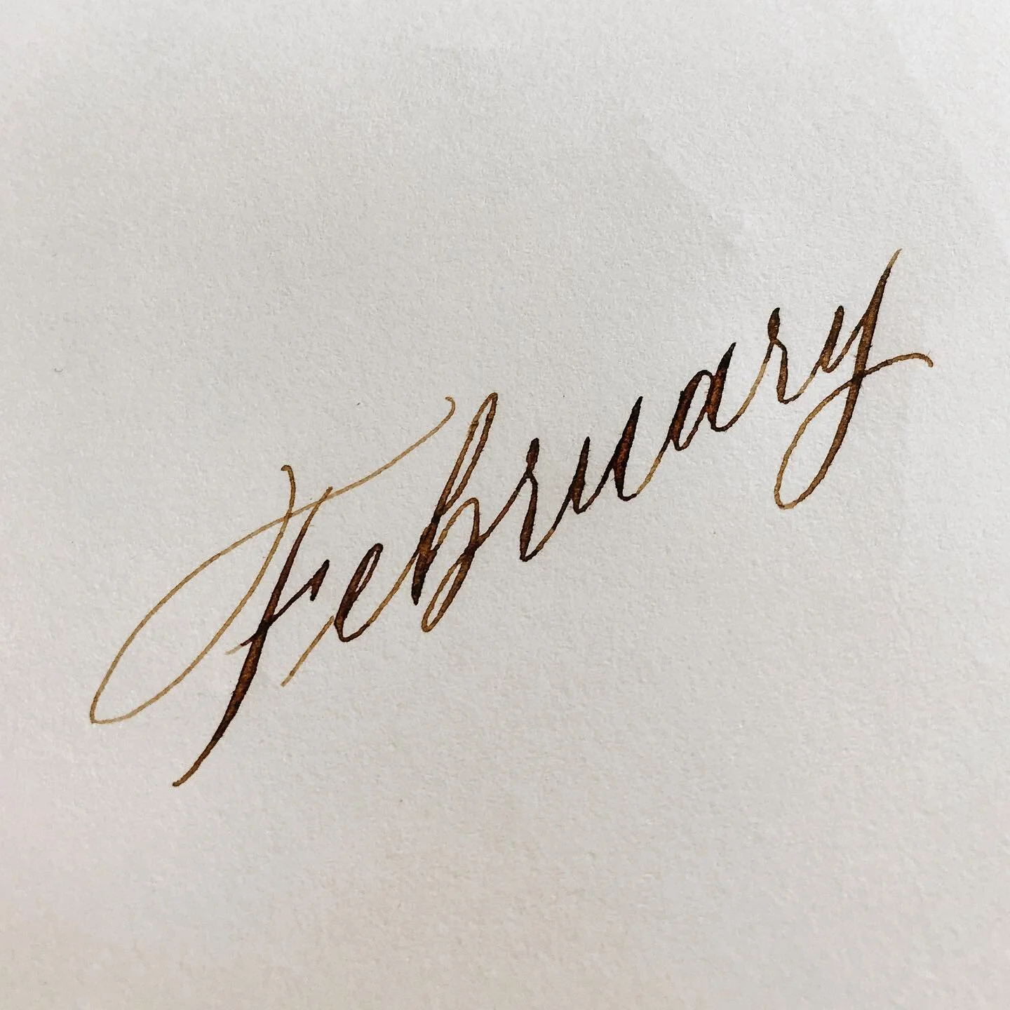 I have an ✨intense✨ goal to read at least twenty-one books this year. Most of them are already in my house, on my bookshelves. 

Before you judge, I read about 4 last year 😅&mdash; the pandemic, new work from home and virtual school regimen requires