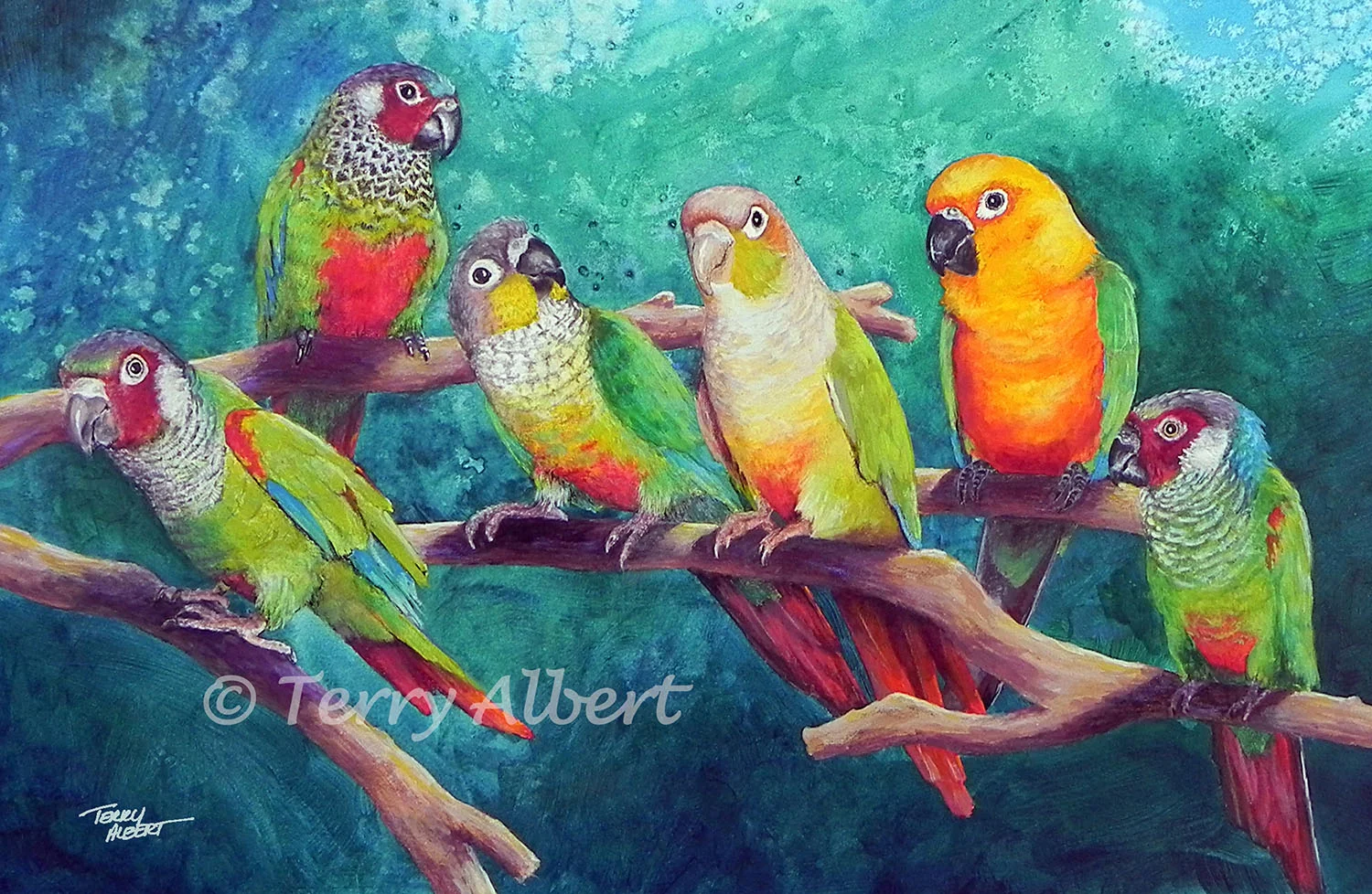 Colorful Conures