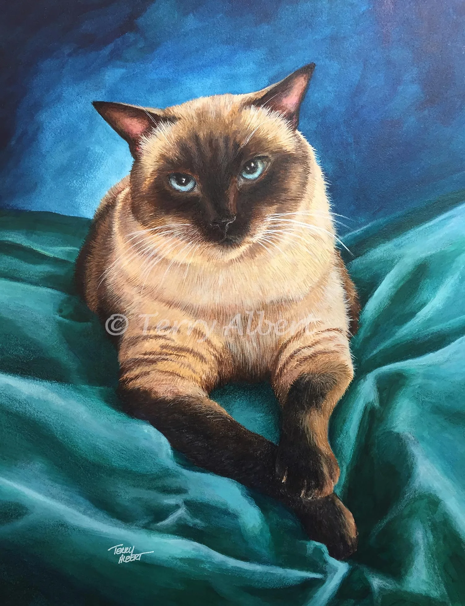 Luna, Siamese cat