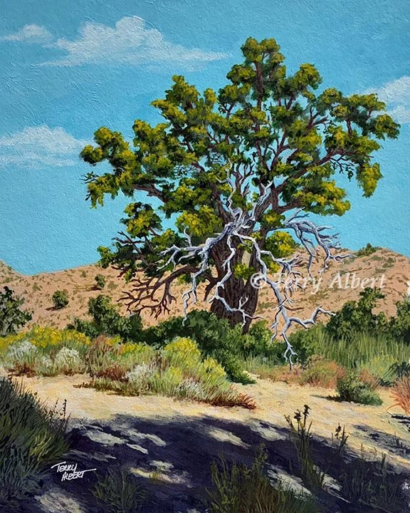 Portrait of an oak tree