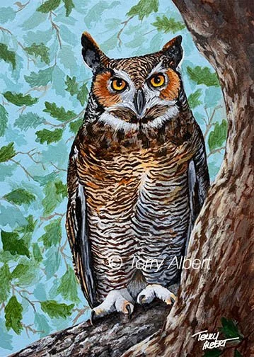 Great Horned Owl