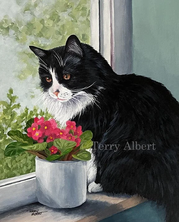 Cat- Kiki-final72.jpg