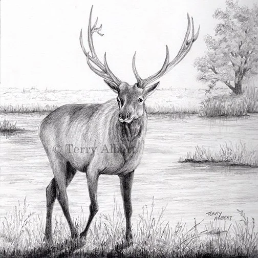 elk-lake final72.jpg
