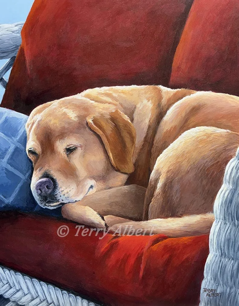 Paige: Yellow Lab