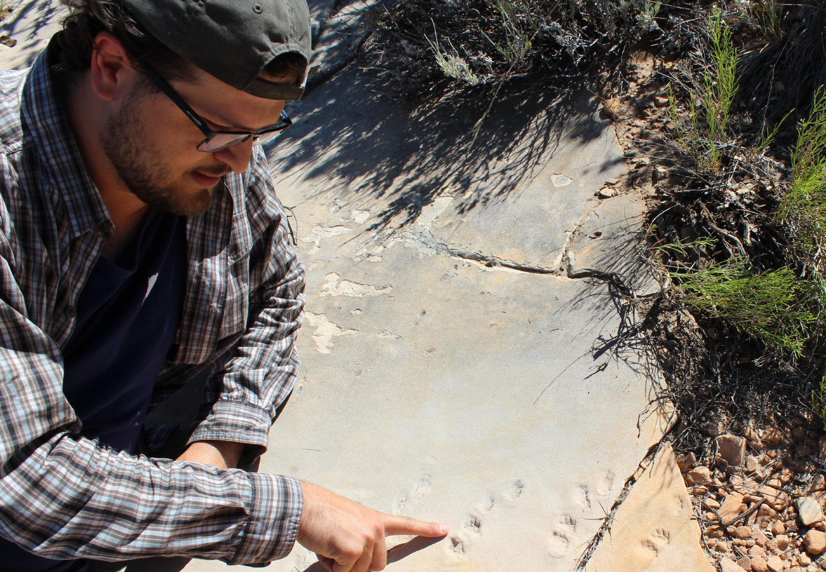Fossil Friday Chats: Heitor Francischini
